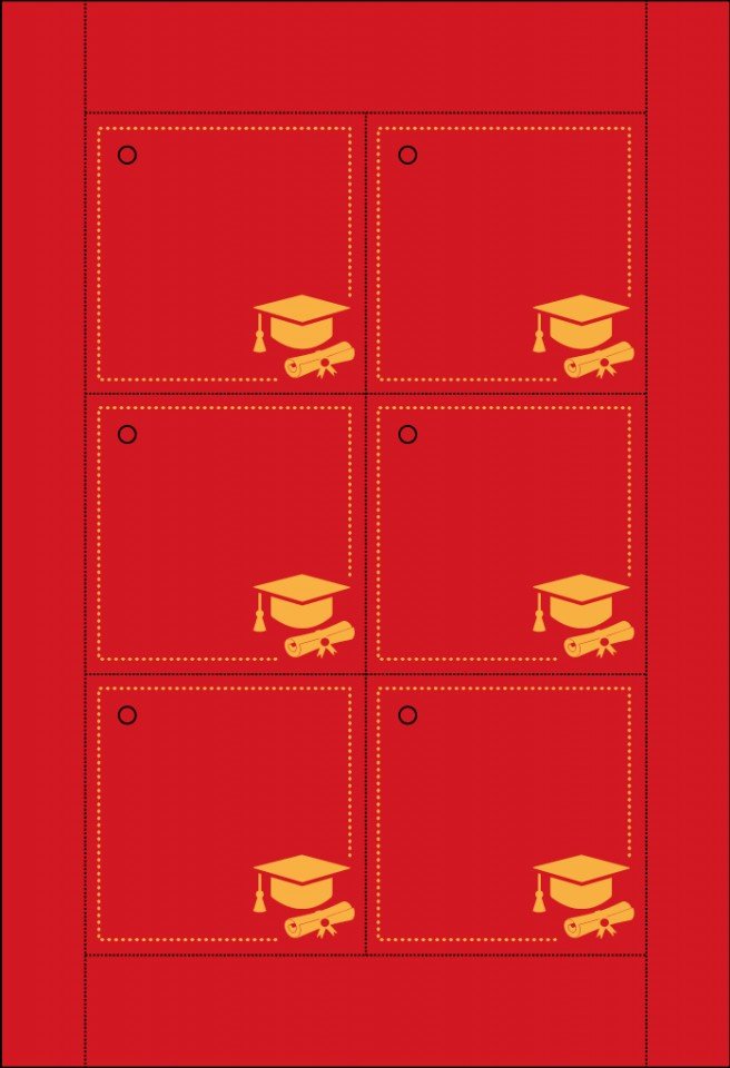 Tag Laurea T046