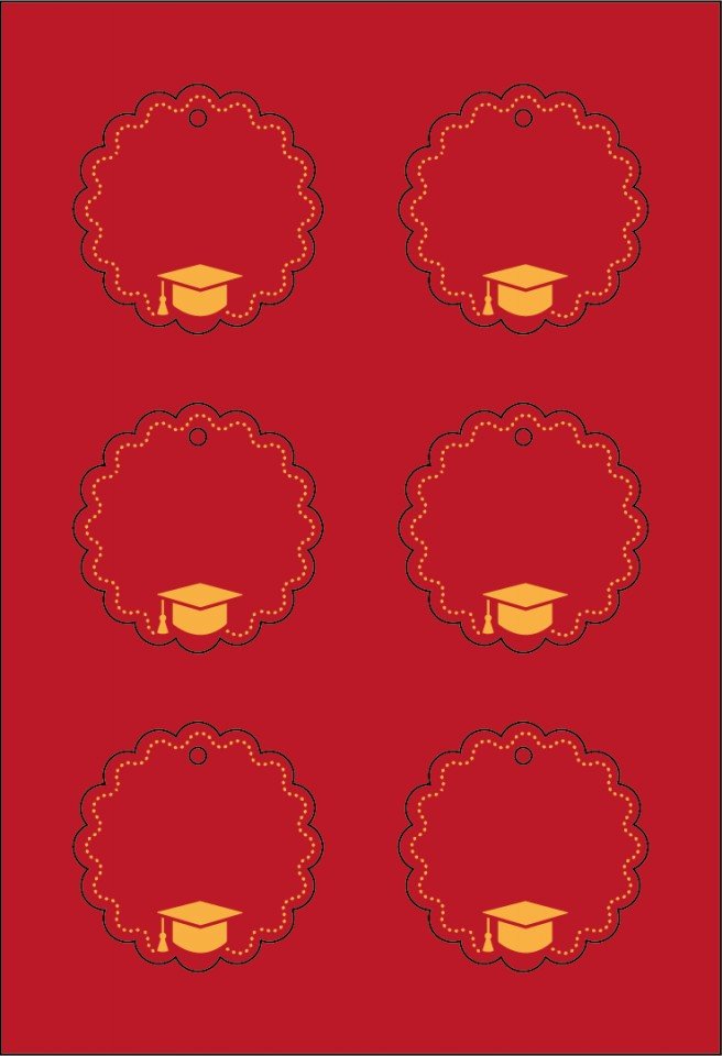 Tag Laurea T047