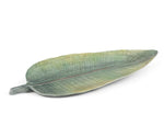 Addobbo tema tropicale Foglia Strelitzia
