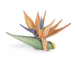 Addobbo tema tropicale Strelitzia in resina