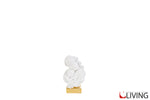 bomboniera-maternita-resina-bianca-base-oro-56210.