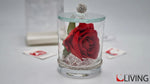bomboniera monfleur con rosa rossa