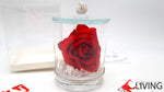 bomboniera monfleur con rosa rossa