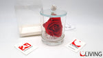 bomboniera monfleur con rosa rossa