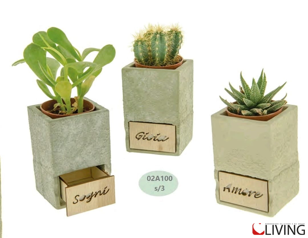 bomboniera porta piante pocket con cassetto