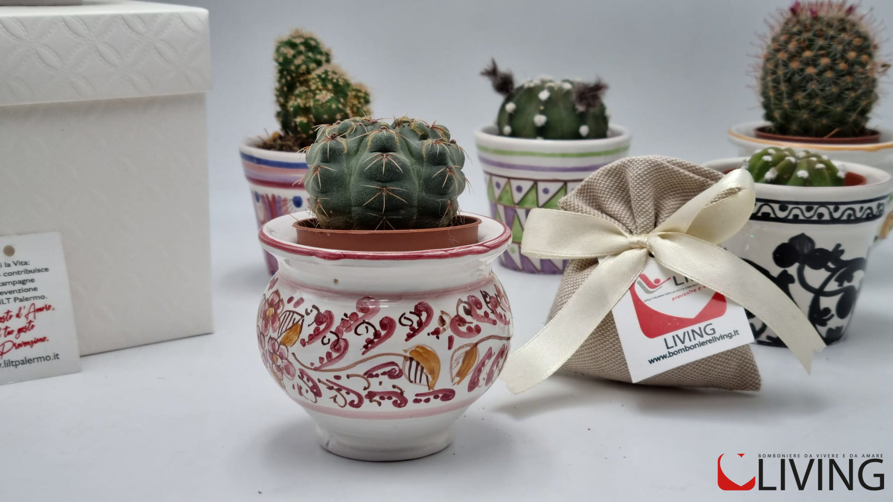 bomboniera porta piantina ceramica caltagirone linea solidale lilt living