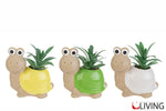 bomboniera-tartaruga-piantina-artificiale-56014