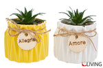 bomboniera-vasetto-piantina-artificiale-56018