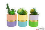 bomboniera-vasetto-piantina-artificiale-multicolor-56050