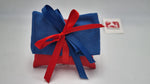Sacchetto Laurea  busta lettere  rossa e blu