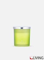 candela aloe capri barattolo verde satinato