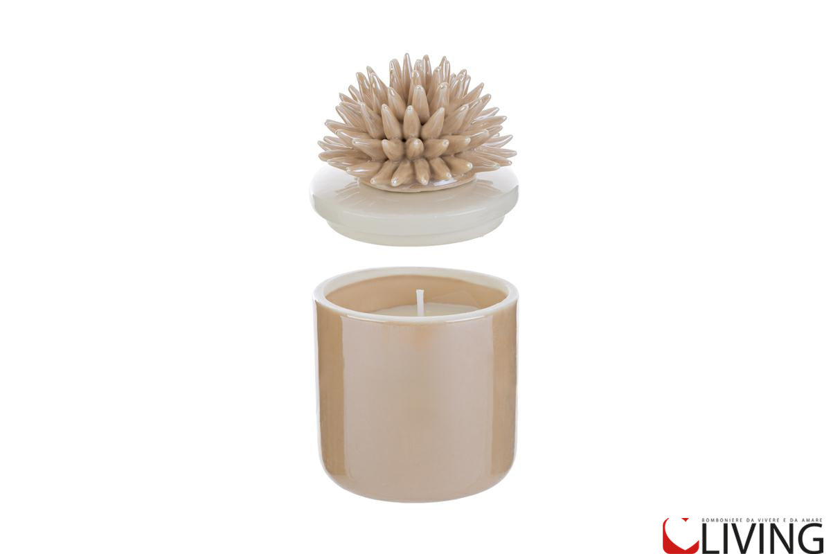 bomboniera scatola corallo porcellana beige