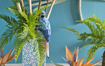 Addobbo tema tropicale vaso con  Macao blu dolomite