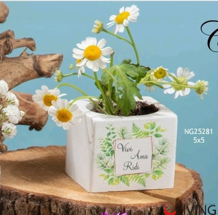 bomboniera cubo kit floreale vivi ama ridi