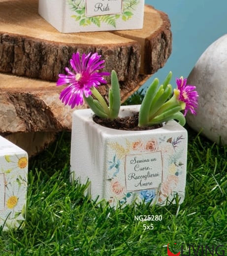 bomboniera cubo kit floreale semina un cuore.. raccoglierai amore