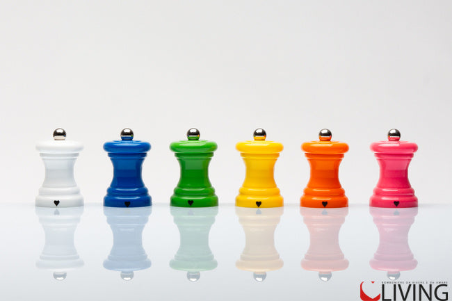 bomboniera mini macinasale in legno colorato