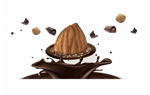 cioccolato fondente e da un sottile strato di zucchero.