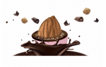 cioccolato fondente e da un sottile strato di zucchero.