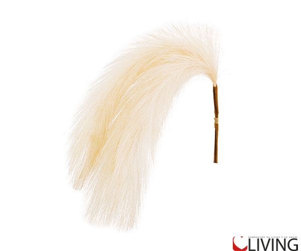 mazzo pampas avorio decorativo naturale