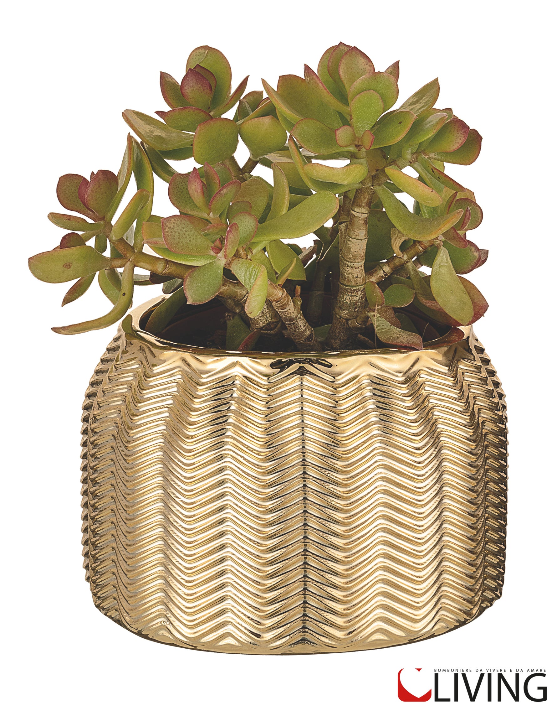 porta vaso oro bongelli