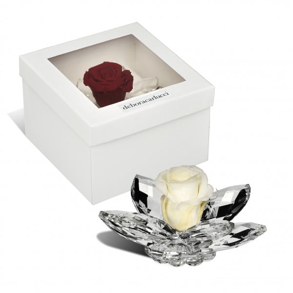 Loto Grande In Cristallo Colore Panna