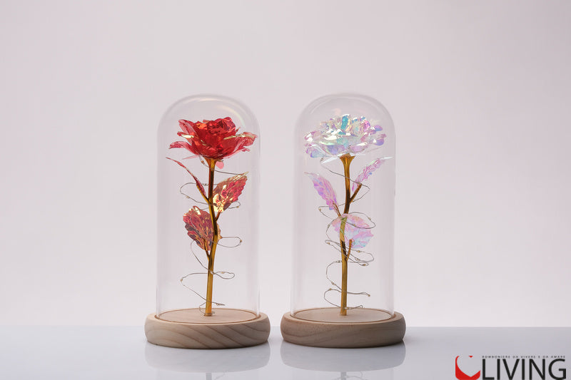 bomboniera rosa nella teca con luce led