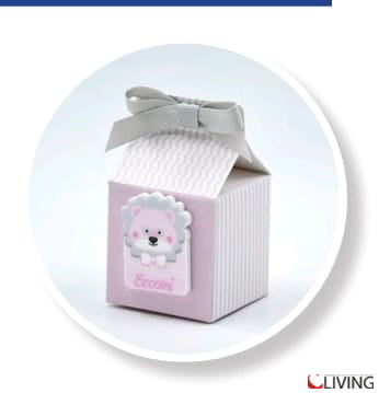 scatoline personalizzabili magneti animali rosa