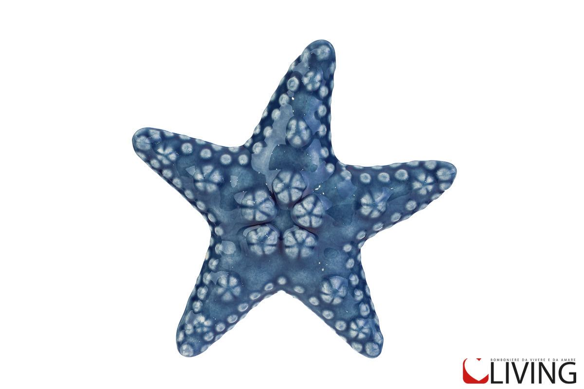 bomboniera stella marina azzurra