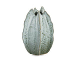 Bomboniera Tema Tropicale Vasetto Verde Salvia